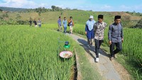 Gabungan Kelompok Tani (Gapoktan) Fajar Agung, Desa Bantar Agung melakukan pengembangan pertanian padi organik di lahan seluas sekitar 5 hektare dari target 15 hektare, sehingga menjadi daya tarik wisatawan untuk mengunjungi lahan persawahan di kaki Gunung Ciremai itu sebagai destinasi agrowisata.  