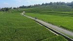 Belajar Agrowisata Tani Organik di Majalengka