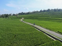 Belajar Agrowisata Tani Organik di Majalengka