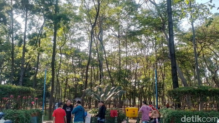 Di Tengah Jakarta Utara yang Terik, Ada Kesejukan Hutan Kota Penjaringan Ruang terbuka hijau sangat jadi tempat yang begitu nyaman, tentunya bagi warga sekitar. Selain sebagai tempat bermain, ruang terbuka hijau untuk mampu memberikan pengaruh yang baik dari sisi memberikan kesejukan di tengah Jakarta yang panas.