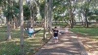 Adapun masyarakat yang menikmati tempat ini dengan cara yang lain seperti menggelar tikar, beristirahat sambil berkaraoke. Suasana Hutan Kota Penjaringan ini memang semendukung itu untuk hanya sekadar menyejukan badan dan pikiran dari matahari yang panas, ada juga yang hanya duduk-duduk di bawah pohon.  