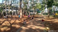 Dan yang paling membuat semakin ingin berlama-lama di Hutan Kota Penjaringan yakni adanya wifi gratis. Walaupun jangkauan sinyalnya hanya 50 meter dari titik pusat tapi cukup berguna untuk berselancar di media sosial.   