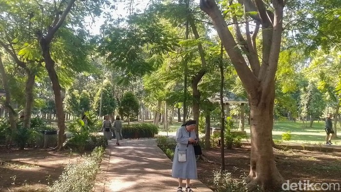 Di Tengah Jakarta Utara yang Terik, Ada Kesejukan Hutan Kota Penjaringan Ruang terbuka hijau sangat jadi tempat yang begitu nyaman, tentunya bagi warga sekitar. Selain sebagai tempat bermain, ruang terbuka hijau untuk mampu memberikan pengaruh yang baik dari sisi memberikan kesejukan di tengah Jakarta yang panas.