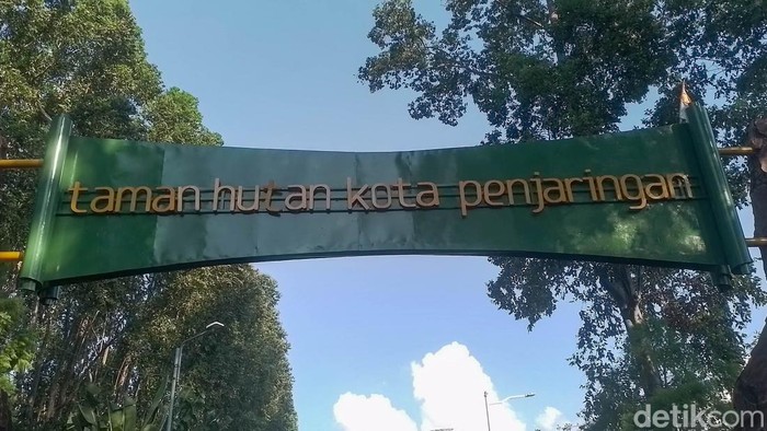 Di Tengah Jakarta Utara yang Terik, Ada Kesejukan Hutan Kota Penjaringan Ruang terbuka hijau sangat jadi tempat yang begitu nyaman, tentunya bagi warga sekitar. Selain sebagai tempat bermain, ruang terbuka hijau untuk mampu memberikan pengaruh yang baik dari sisi memberikan kesejukan di tengah Jakarta yang panas.