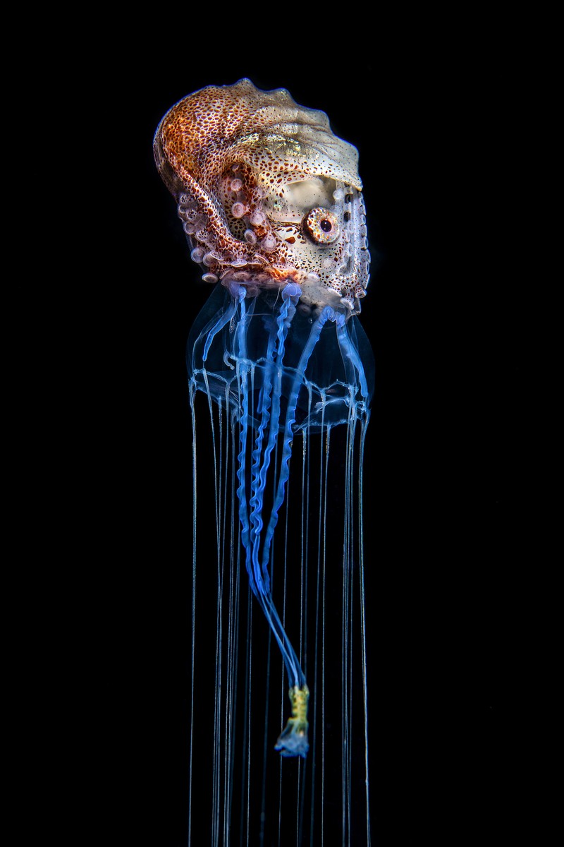 Environmental Photography Award 2024