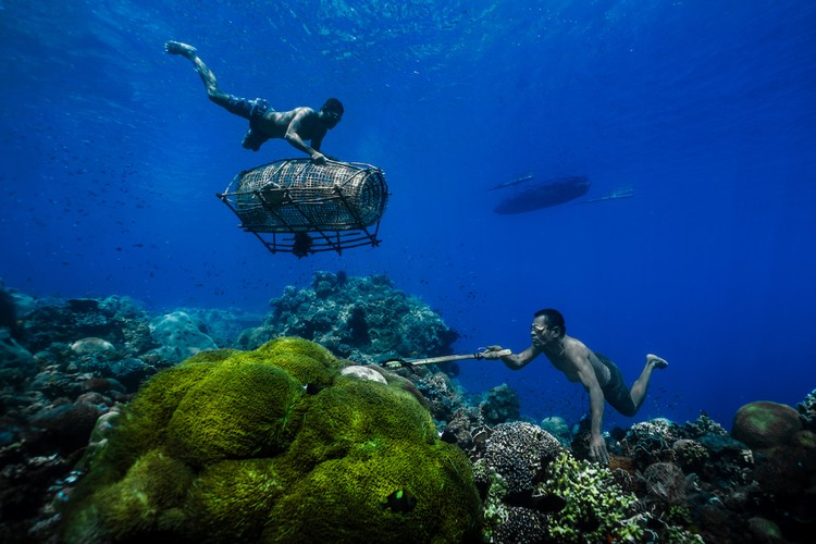 Environmental Photography Award 2024