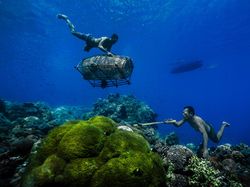 Karya Powerful Jawara Kontes Fotografi Lingkungan 2024, Ada Indonesia