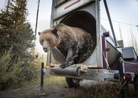 Environmental Photography Award 2024