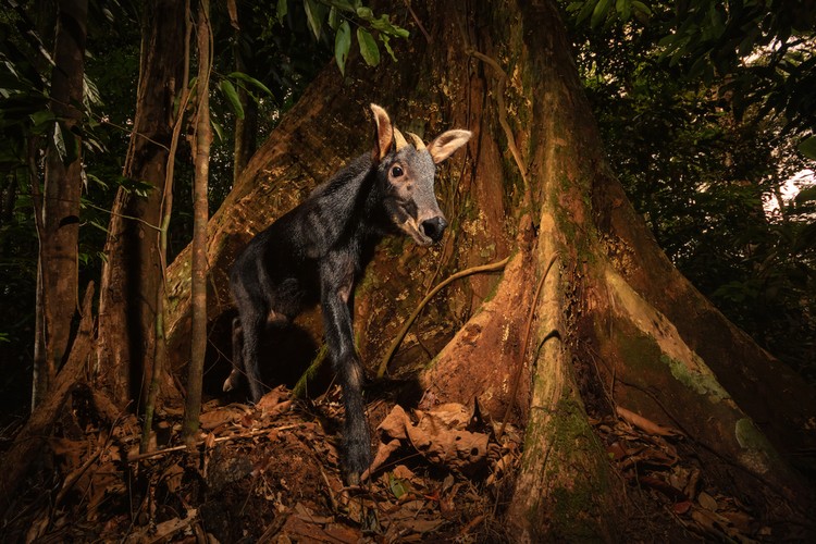 Environmental Photography Award 2024