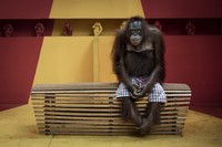 Environmental Photography Award 2024