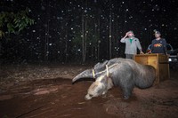 Environmental Photography Award 2024
