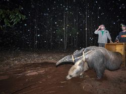 Karya Powerful Jawara Kontes Fotografi Lingkungan 2024, Ada Indonesia