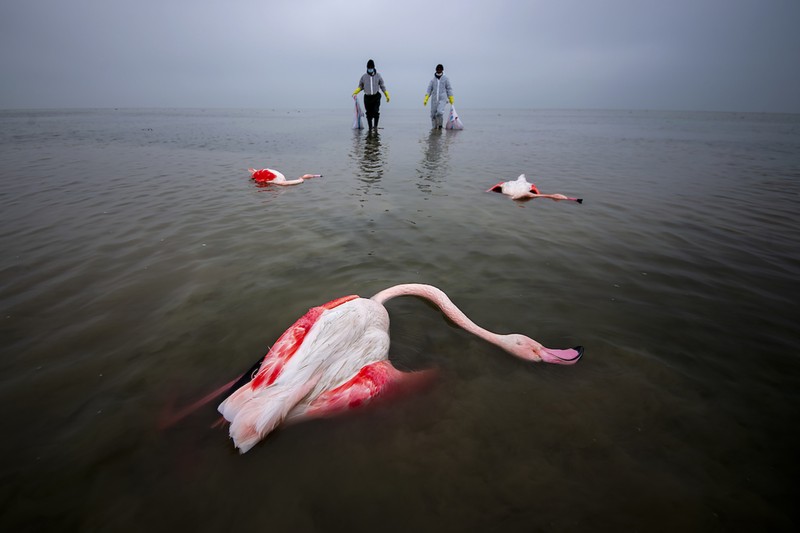 Environmental Photography Award 2024