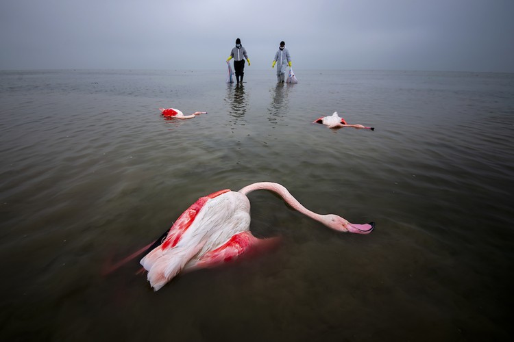 Environmental Photography Award 2024 Environmental Photography Award 2024