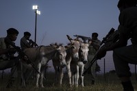 Environmental Photography Award 2024