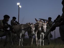 Karya Powerful Jawara Kontes Fotografi Lingkungan 2024, Ada Indonesia