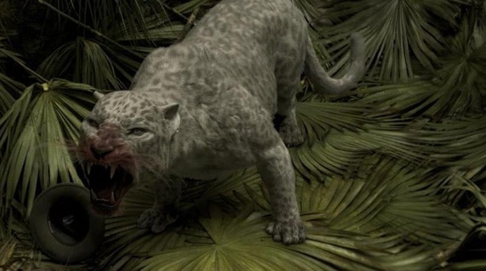 Film Primal