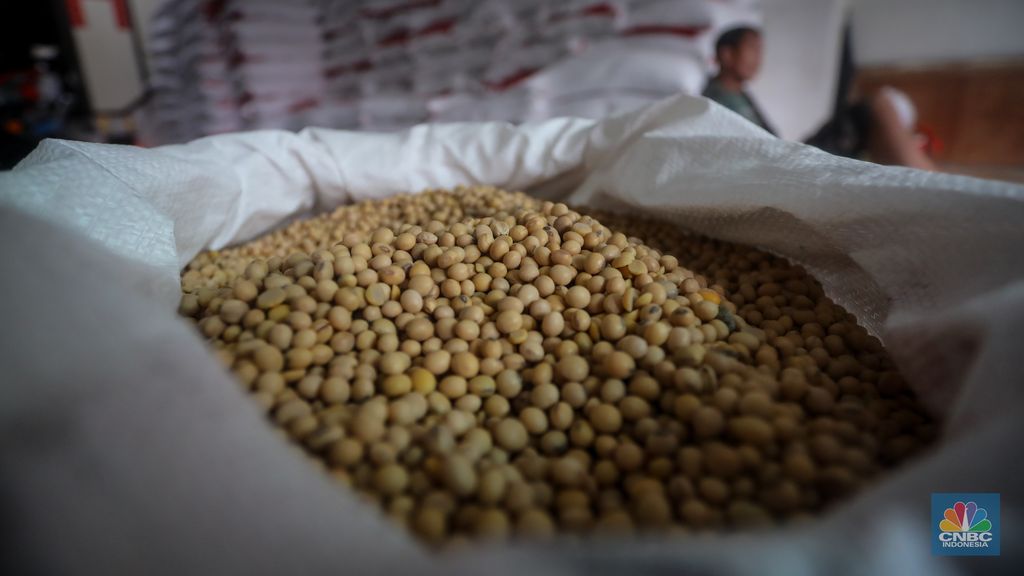 Harga dolar Amerika Serikat (AS) membuat harga kedelai impor, yang sebelumnya sekitar Rp 700 ribu per kuintal, kini naik hingga Rp 1,2 juta per kuintal. (CNBC Indonesia/Faisal Rahman) Harga dolar Amerika Serikat (AS) membuat harga kedelai impor, yang sebelumnya sekitar Rp 700 ribu per kuintal, kini naik hingga Rp 1,2 juta per kuintal. (CNBC Indonesia/Faisal Rahman)