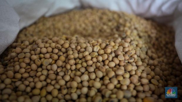 Harga dolar Amerika Serikat (AS) membuat harga kedelai impor, yang sebelumnya sekitar Rp 700 ribu per kuintal, kini naik hingga Rp 1,2 juta per kuintal. (CNBC Indonesia/Faisal Rahman) Harga dolar Amerika Serikat (AS) membuat harga kedelai impor, yang sebelumnya sekitar Rp 700 ribu per kuintal, kini naik hingga Rp 1,2 juta per kuintal. (CNBC Indonesia/Faisal Rahman)