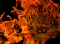 Orang yang Percaya Khodam Tak Termasuk Gangguan Mental, Tapi...