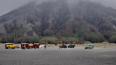 Kebakaran di Gunung Bromo Padam, Begini Dampaknya