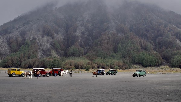 Kebakaran di Gunung Bromo Padam, Begini Dampaknya