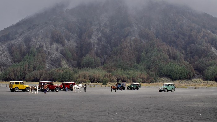 Luas lahan terdampak kebakaran Gunung Bromo Seorang warga menaiki kuda pasca kebakaran di di Kawasan Taman Nasional Bromo Tengger Semeru (TNBTS), Pasuruan, Jawa Timur, Kamis (27/6/2024). Berdasarkan kalkulasi Badan Nasional Penanggulangan Bencana (BNPB) luas lahan kebakaran bromo yang telah dipastikan padam pada Sabtu (22/6) tersebut diperkirakan mencapai 50 hektare. ANTARA FOTO/Irfan Sumanjaya/Spt.