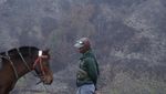Kebakaran di Gunung Bromo Padam, Begini Dampaknya