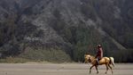 Kebakaran di Gunung Bromo Padam, Begini Dampaknya