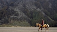 Berdasarkan kalkulasi Badan Nasional Penanggulangan Bencana (BNPB) luas lahan kebakaran bromo yang telah dipastikan padam pada Sabtu (22/6) tersebut diperkirakan mencapai 50 hektare.  