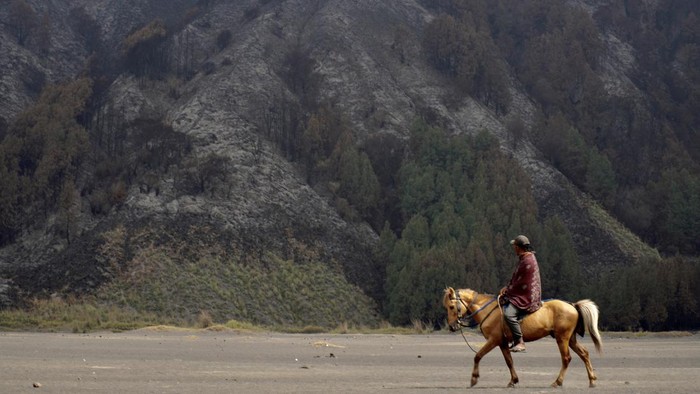 Seorang warga menaiki kuda pasca kebakaran di di Kawasan Taman Nasional Bromo Tengger Semeru (TNBTS), Pasuruan, Jawa Timur, Kamis (27/6/2024). Berdasarkan kalkulasi Badan Nasional Penanggulangan Bencana (BNPB) luas lahan kebakaran bromo yang telah dipastikan padam pada Sabtu (22/6) tersebut diperkirakan mencapai 50 hektare. ANTARA FOTO/Irfan Sumanjaya/Spt.