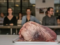 Penasaran dengan Cadaver, Dokter Ini Bikin Sesi Makan Khusus Jeroan