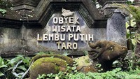Objek wisata ini berada di Desa Taro, Gianyar, Bali. Desa itu menjadi salah satu desa wisata di Pulau Dewata yang mengusung tema An Eco Spiritual Destination.