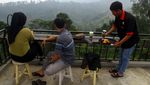 Menghidupkan Kembali Legenda Kopi Bromo