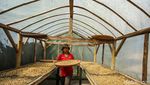 Keindahan Alam Desa Cikoneng Penghasil Kopi di Bogor