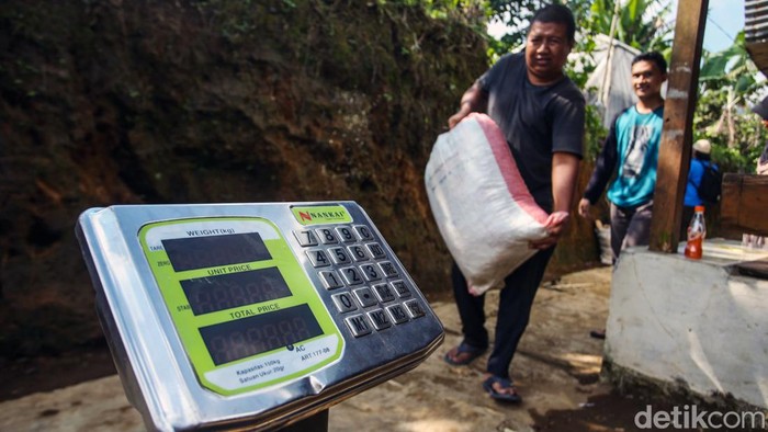 Nikmatnya Kopi Asli Desa Cikoneng Bogor Desa Tugu Utara Bogor memiliki keindahan alam kebun kopi dengan latar belakang gunung yang indah, di tengah hamparan kebun teh ini terselip kegiatan budidaya kopi Cikoneng yang tengah dikembangkan.
Para petani kopi disini merupakan pegawai kebun teh yang pada siang harinya beralih kegiatan dari kebun teh ke kebun kopi. Kegiatan ini dilakukan sejak tahun 2018 dengan harapan meningkatkan pendapatan.