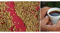 Oleh karena itu, kemampuan untuk memenuhi permintaan pasar dan memperkuat posisi kopi Indonesia di kancah internasional serta dalam negeri sangat penting untuk dijaga.