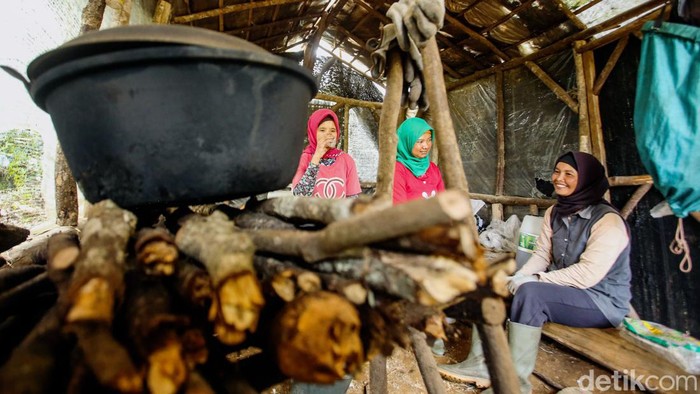 Nikmatnya Kopi Asli Desa Cikoneng Bogor Desa Tugu Utara Bogor memiliki keindahan alam kebun kopi dengan latar belakang gunung yang indah, di tengah hamparan kebun teh ini terselip kegiatan budidaya kopi Cikoneng yang tengah dikembangkan.
Para petani kopi disini merupakan pegawai kebun teh yang pada siang harinya beralih kegiatan dari kebun teh ke kebun kopi. Kegiatan ini dilakukan sejak tahun 2018 dengan harapan meningkatkan pendapatan.