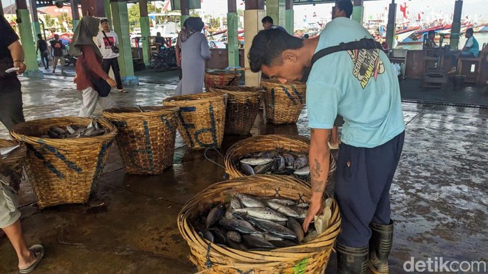 Pasar ikan di Trenggalek. Nelayan mengeluhkan harga iklan anjlok imbas impor Surimi.