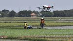 Keren! Sawah di Bekasi Disemprot Pestisida Pakai Drone