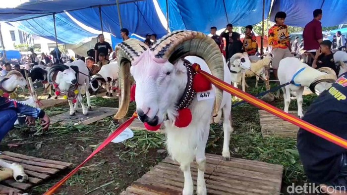 Pesta Patok di Tasikmalaya.