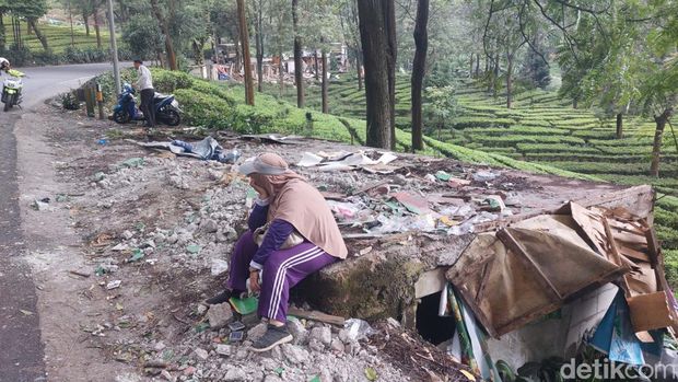 Ratusan lapak PKL di Puncak, Bogor yang dibongkar Satpol PP kini telah rata dengan tanah.