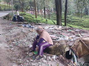 5 Fakta Terkini Kios di Puncak Bogor Dibongkar Bikin Satpol PP Terluka