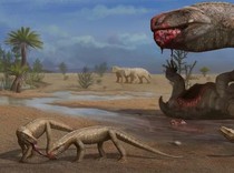 Ahli Temukan Fosil Langka Hewan Mirip Buaya yang Hidup 237 Juta Tahun Lalu