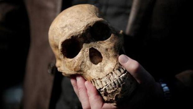 Paleoanthropologist and National Geographic Explorer-in-Residence, Professor Lee Rogers Berger holds a replica of the skull of 