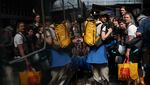 Stasiun Paddington Penuh Sesak Penggemar Glastonbury