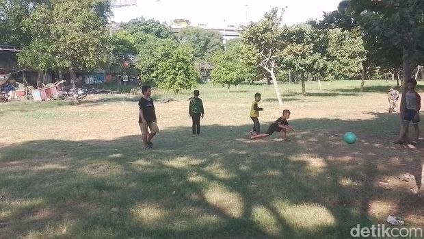 Taman Hutan Kota Penjaringan, Jakarta Utara