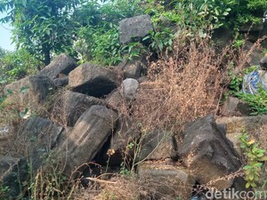 Duh! Tumpukan Batu Candi dari Proyek Kolam di Tulung Klaten Kini Merana