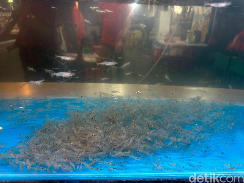 Cicip Dancing Shrimp yang Viral hingga Lobster Mantul di GW Food