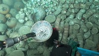 Kisah Penemuan Cirebon Wreck, Harta Karun Peninggalan China di Laut Jawa